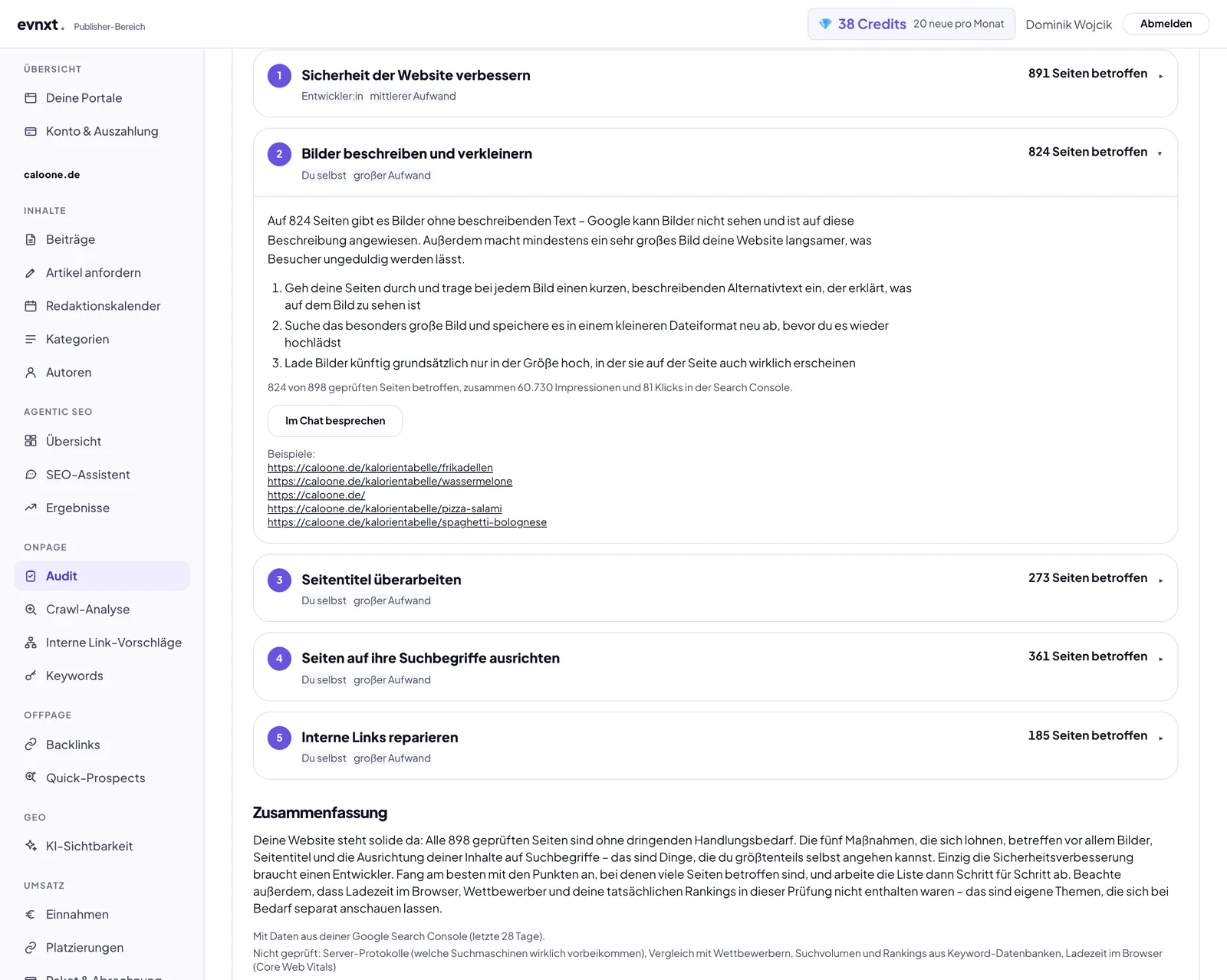 Aufgeklappte Maßnahme „Bilder beschreiben und verkleinern“ mit Begründung, nummerierten Schritten, der Zahl der betroffenen Seiten und Beispielseiten